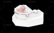 begg-0208-(2)